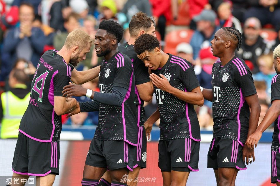 回国并不意 回国并不意